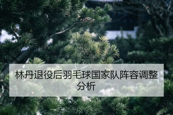 lin-dan-tui-yi-hou-yu-mao-qiu-guo-jia-dui-zhen-rong-tiao-zheng-fen-xi-2-161.jpg